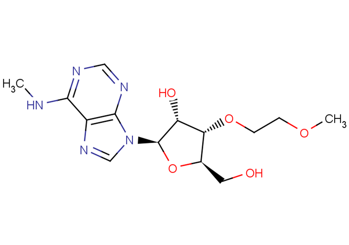 N6-Methyl-3'-O-(2-methoxyethyl)   adenosine