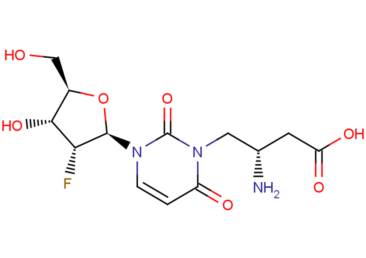2'-Deoxy-2'-fluoro- N3-(2S)-(2-amino-3-carbonyl)-propyluridine