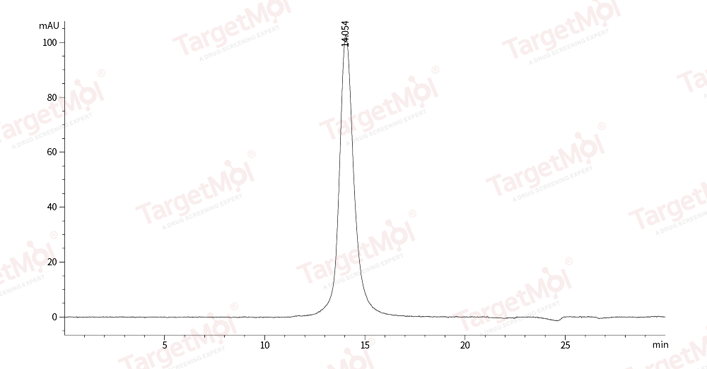 B7-H4 Protein, Mouse, Recombinant (His)