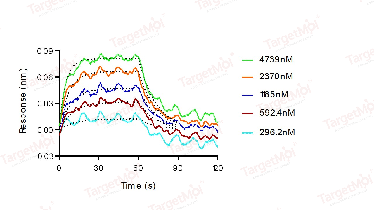 CD86 Protein, Human, Recombinant (His)