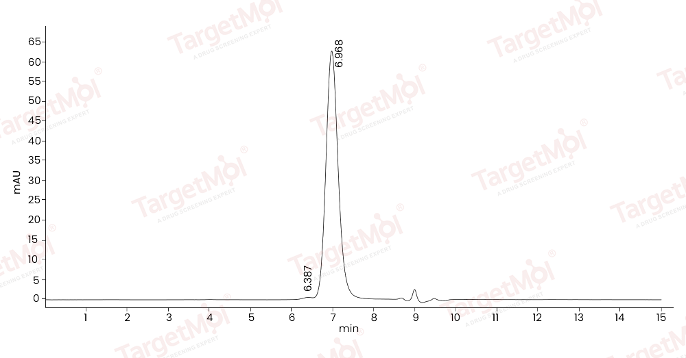 HER2/ERBB2 Protein, Human, Recombinant (aa 1-195, His)