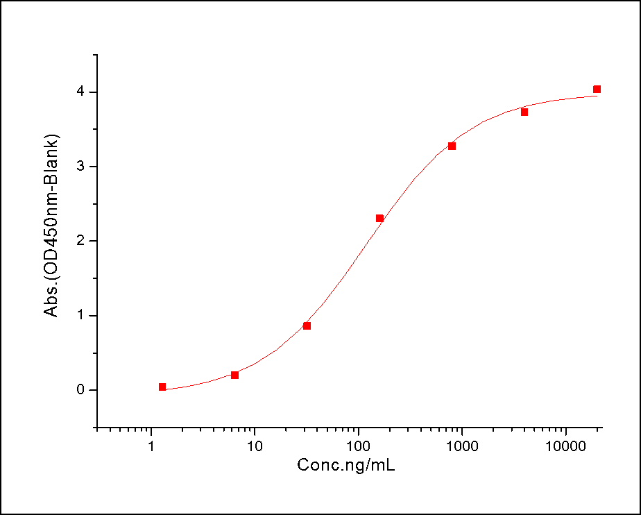 HGFR/c-Met Protein, Mouse, Recombinant (His)