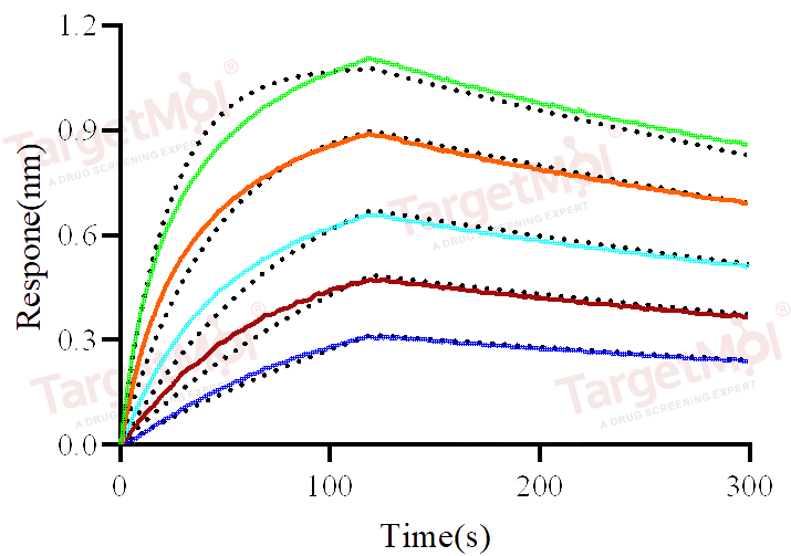CD64 Protein, Human, Recombinant (His)