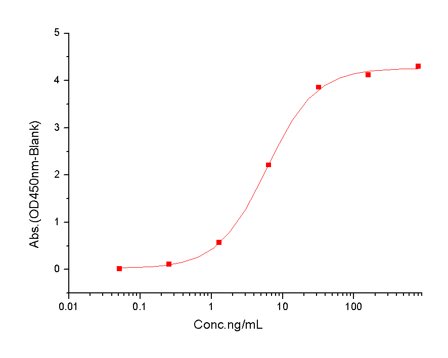 R-Spondin 3/RSPO3 Protein, Human, Recombinant (aa 1-146, His)