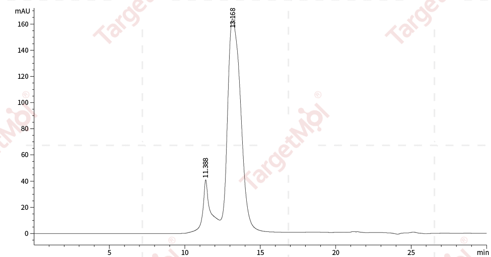 IL-23R Protein, Human, Recombinant (His)