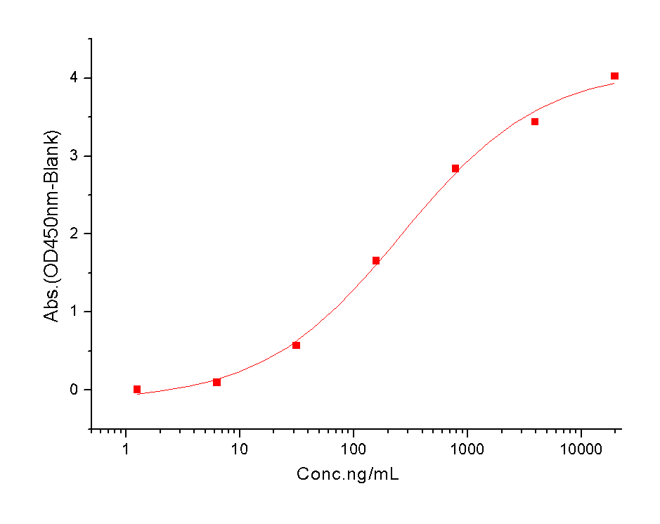 PD-L2 Protein, Human, Recombinant (His)