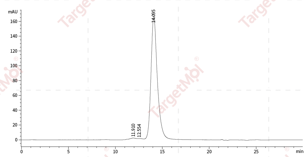 MICB Protein, Human, Recombinant (His)