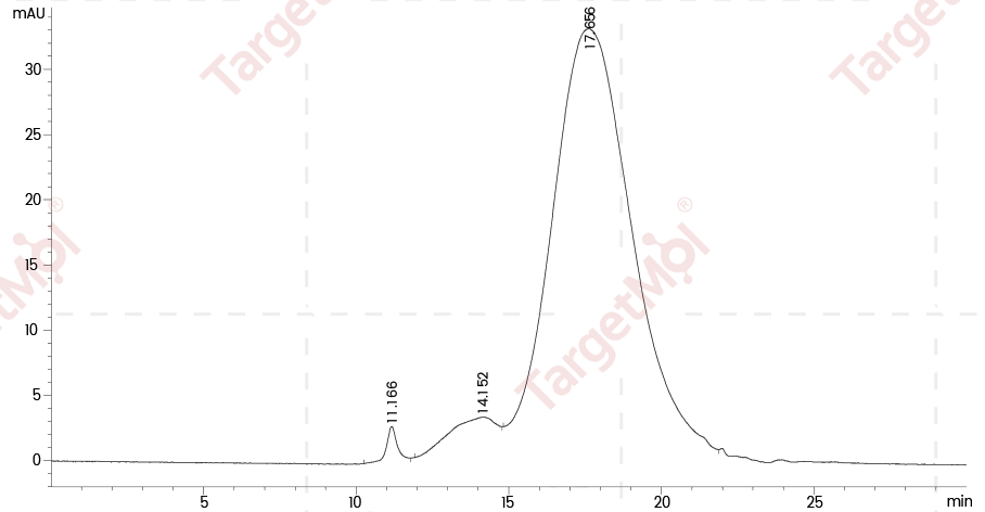 TREM-2 Protein, Mouse, Recombinant (His)