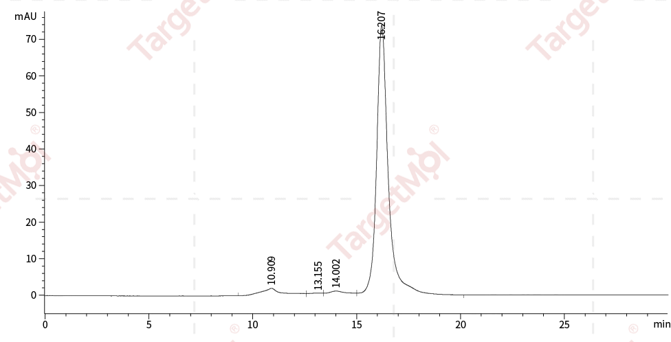 CD73/5'-Nucleotidase Protein, Human, Recombinant (His)