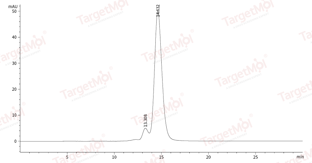 CD28 Protein, Human, Cynomolgus, Rhesus, Recombinant (His)
