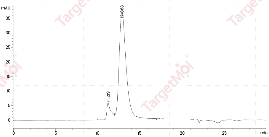 B7-H3 Protein, Human, Recombinant (His)