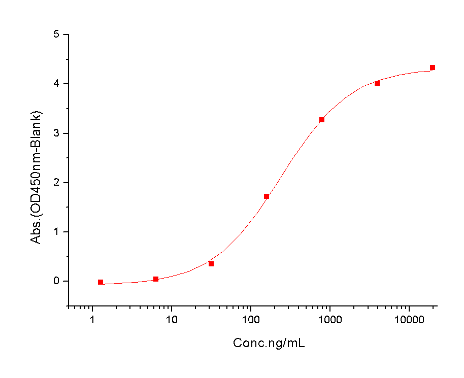 HER3/ERBB3 Protein, Rat, Recombinant (His)
