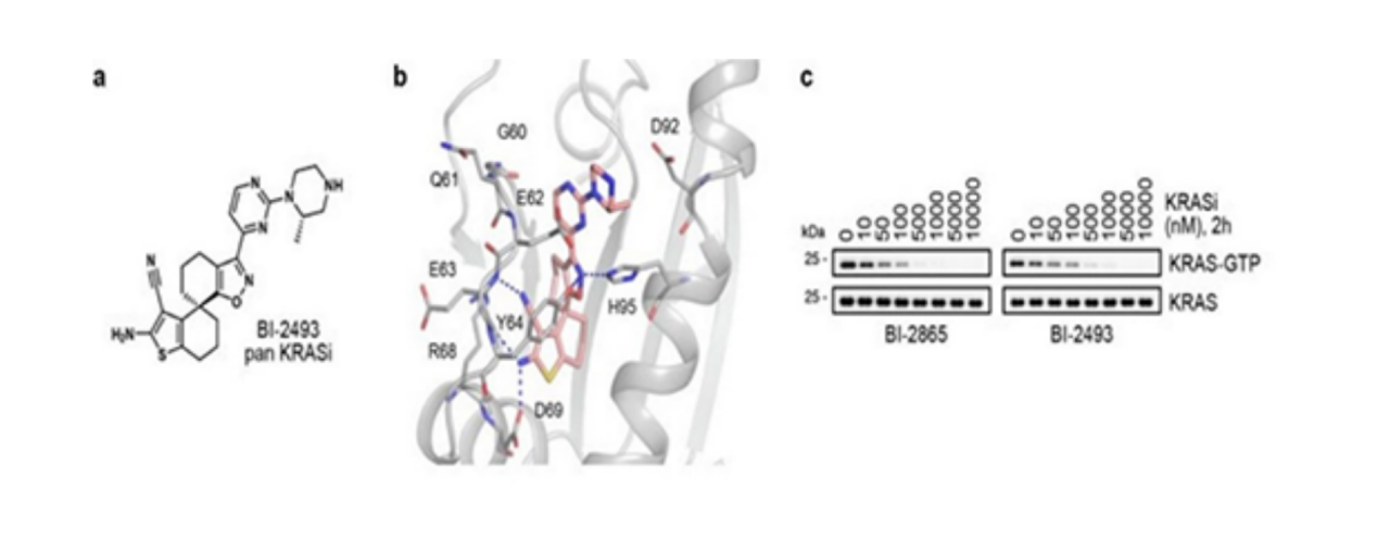 WIKIMOLE of the week—Bl-2493 & Bl-2865