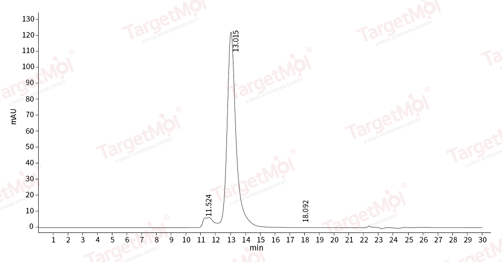 Integrin alpha V beta 3 Protein, Human, Recombinant (His)