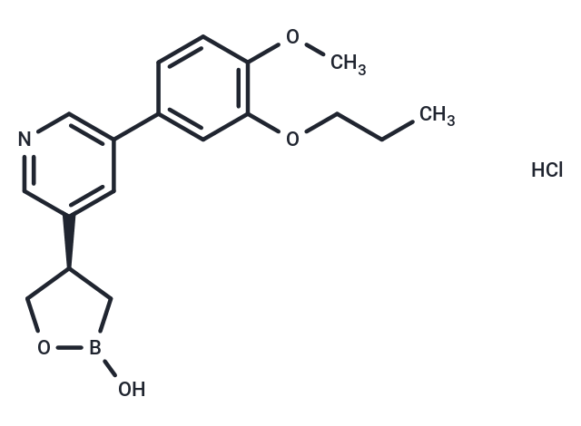 PF-07038124 HCl