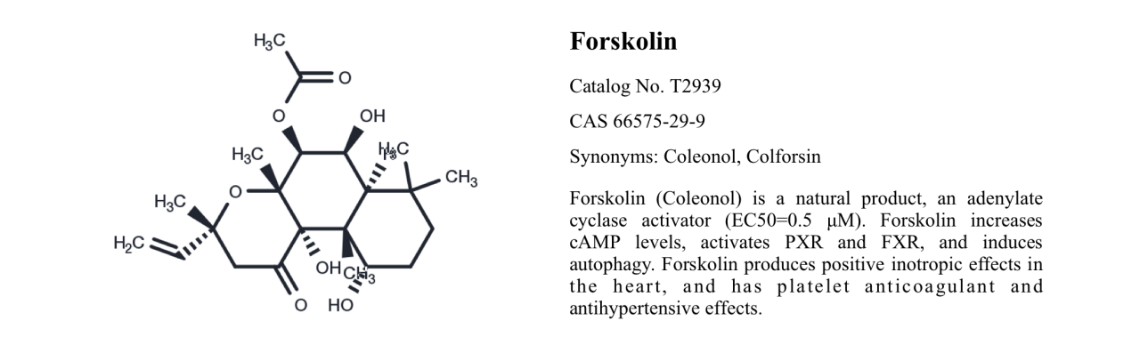 WIKIMOLE—Forkskolin
