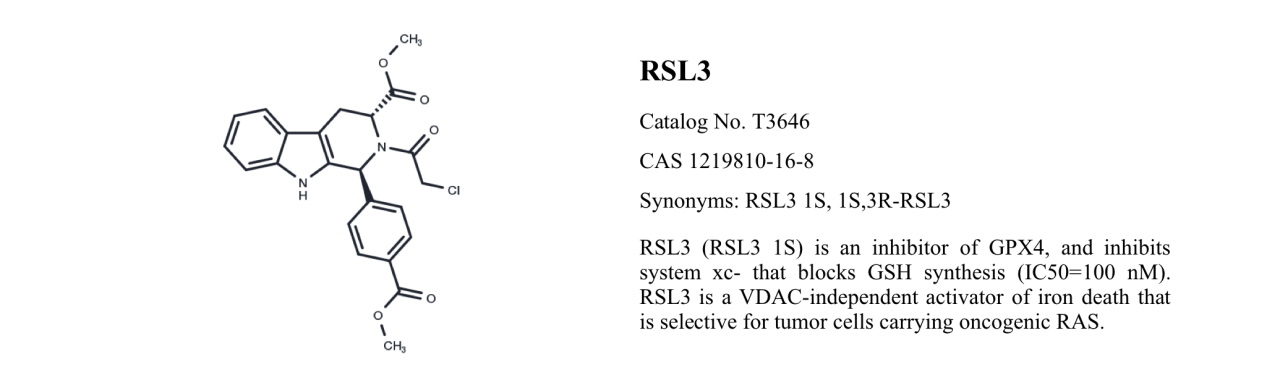 WIKIMOLE—RSL3 & Erastin