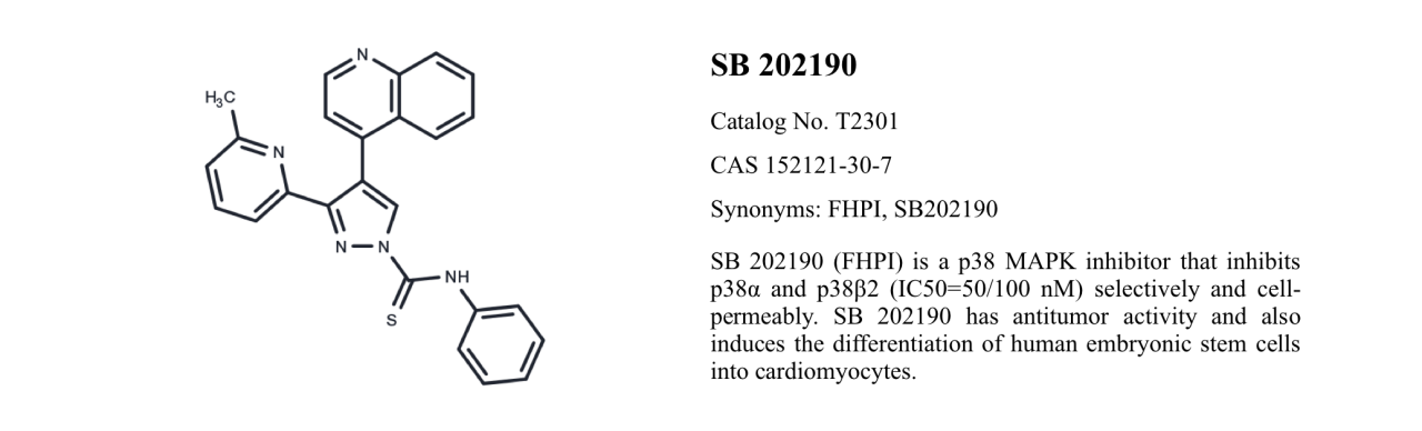 WIKIMOLE—A 83-01 & SB-431542 & SB 202190