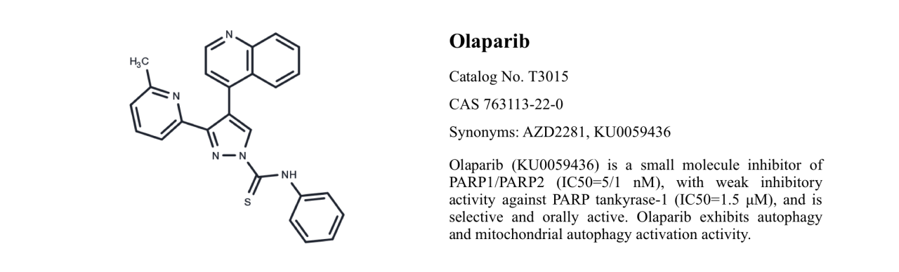 WIKIMOLE—Olaparib