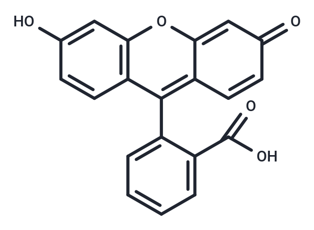 Fluorescein