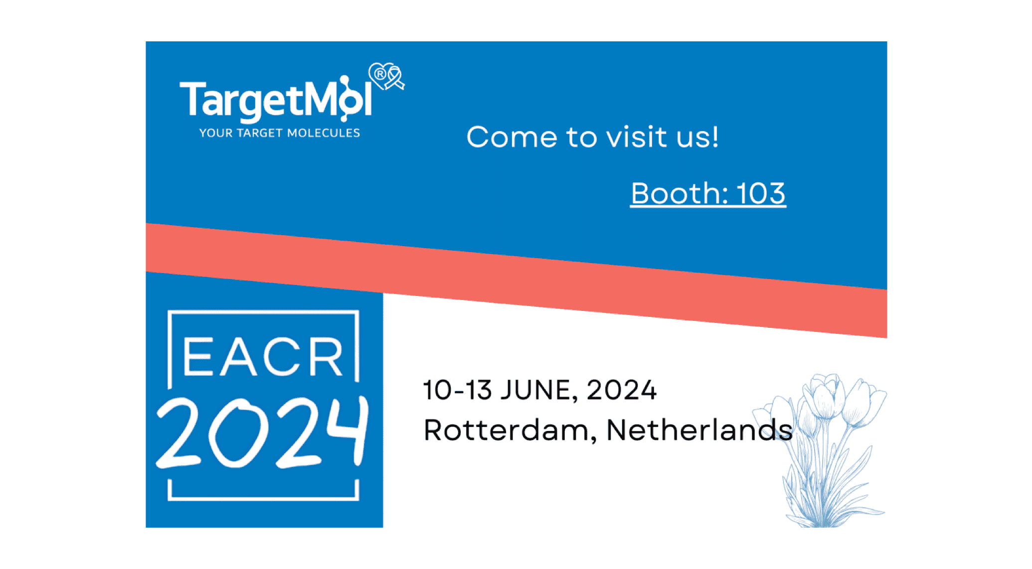 Meet TargetMol at EACR 2024 Congress