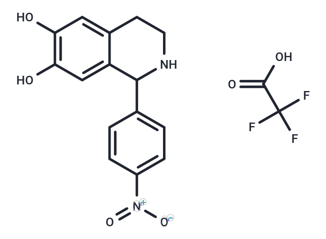 FY-21