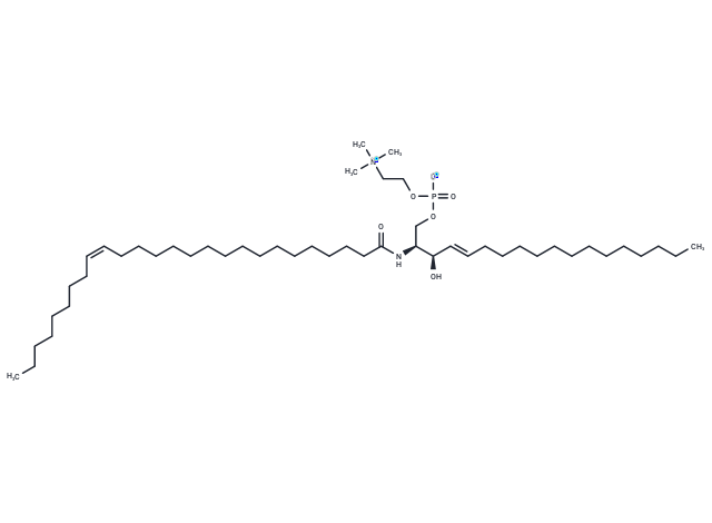 C26:1 Sphingomyelin (d18:1/26:1(17Z))