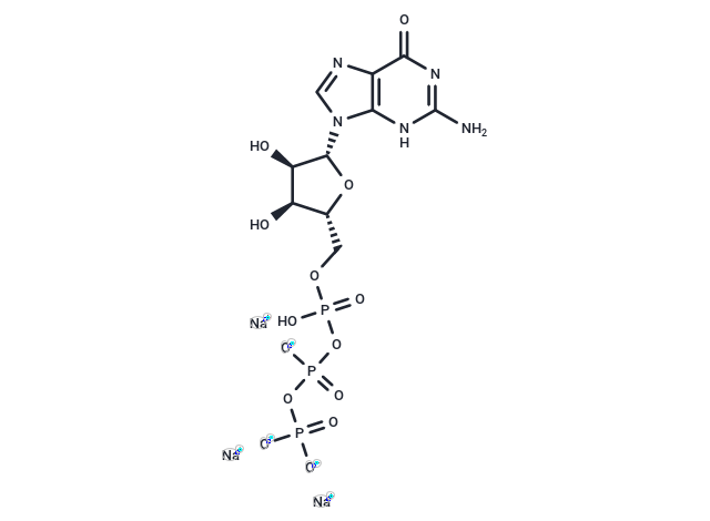Guanosine 5-triphosphate trisodium salt [36051-31-7]