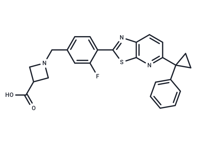 AMG-369