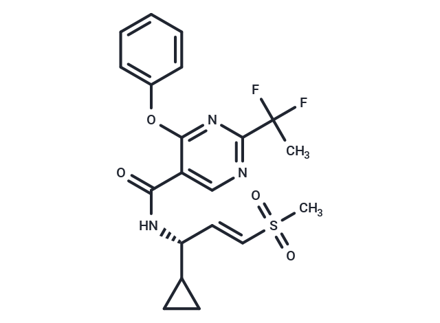 VVD-214