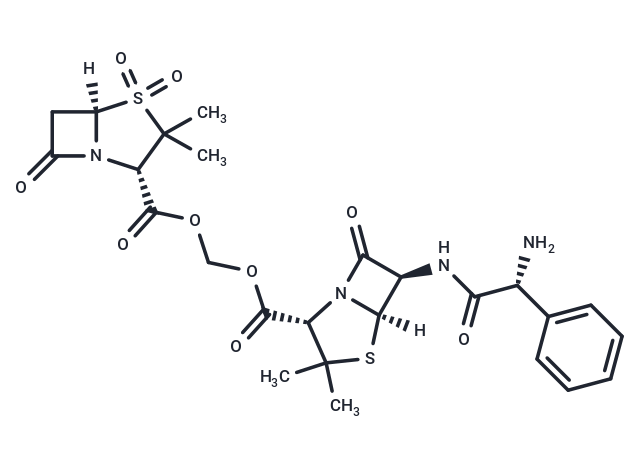Sultamicillin