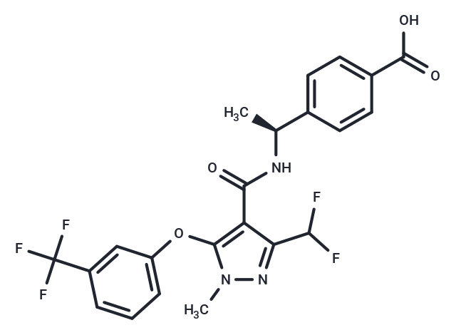 E7046