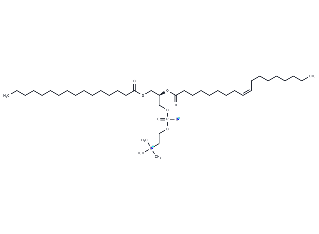 1-Palmitoyl-2-oleoyl-sn-glycero-3-PC [26853-31-6]