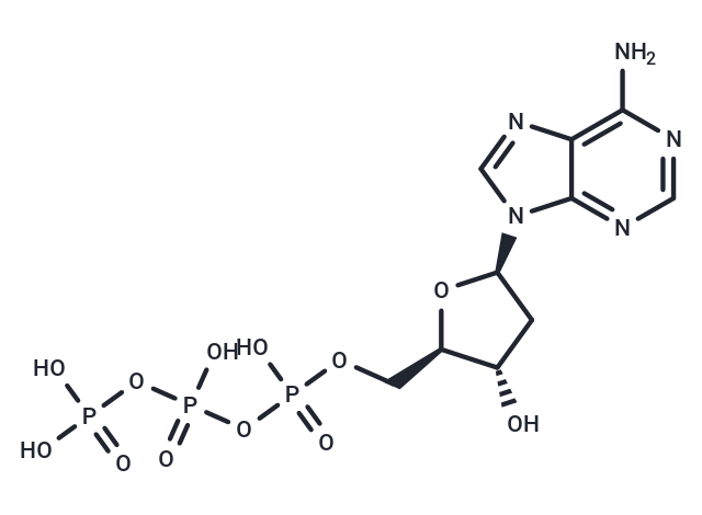 2-Deoxyadenosine-5-triphosphate [1927-31-7]