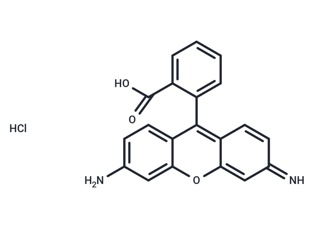 Rhodamine 110 [13558-31-1]