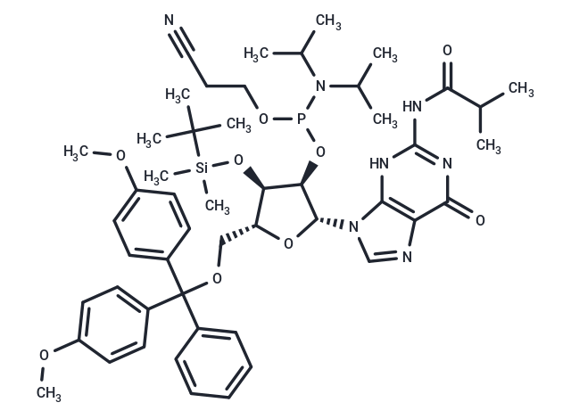JFN05510