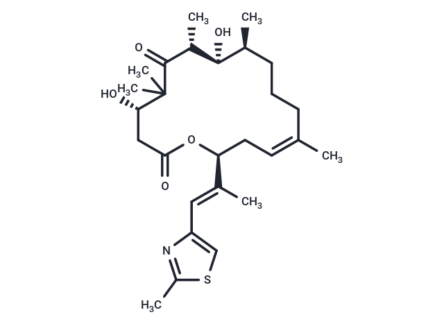 Epothilone D