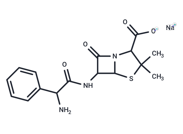 Ampicillin sodium [69-52-3]