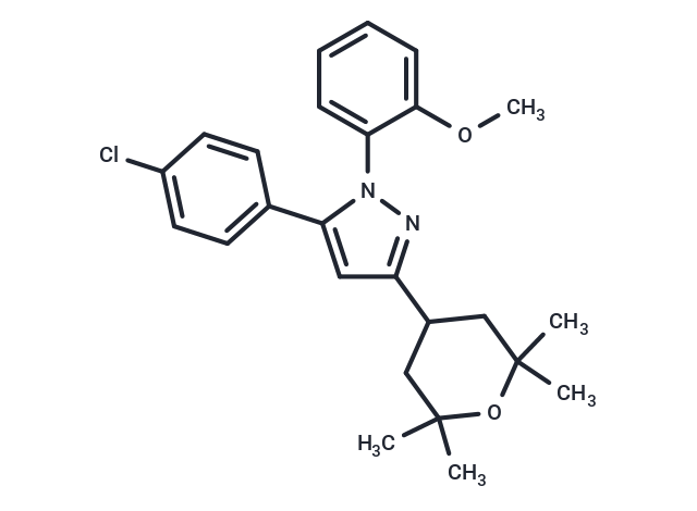 Cav 2.2 blocker 1