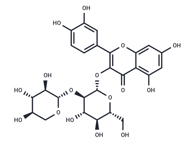 Quercetin 3-O-sambubioside [83048-35-5]
