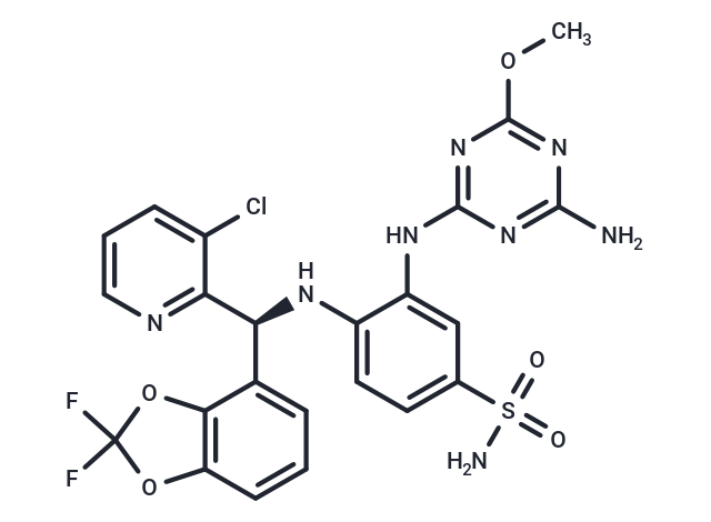 Dot1L-IN-5
