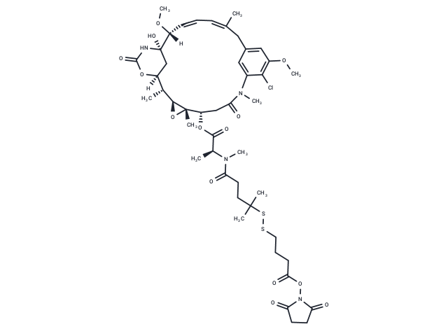 SPDB-DM4 [1626359-62-3]