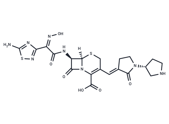 Ceftobiprole [209467-52-7]