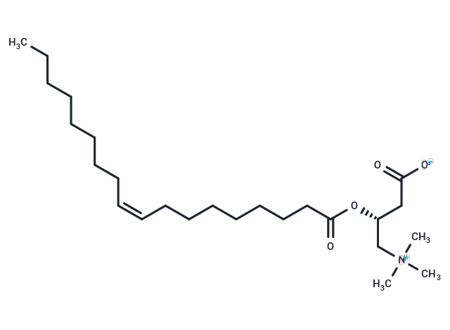 Oleoylcarnitine [38677-66-6]