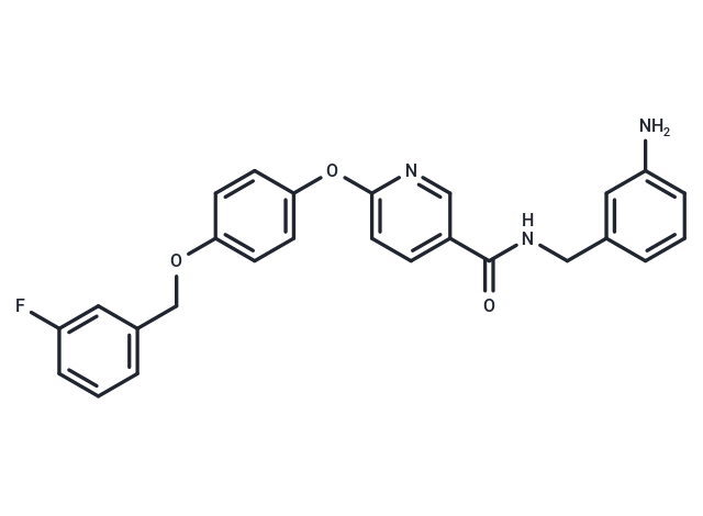 YM-244769