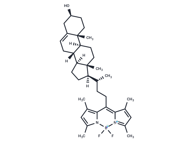 BODIPY-Cholesterol