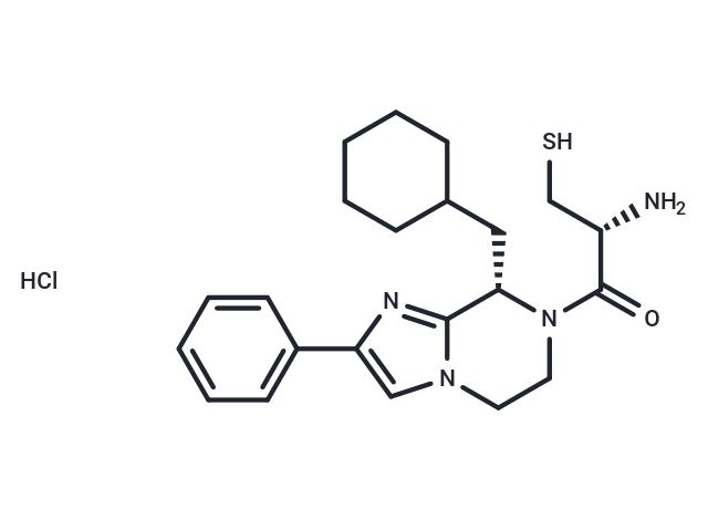 BIM-46174 HCl