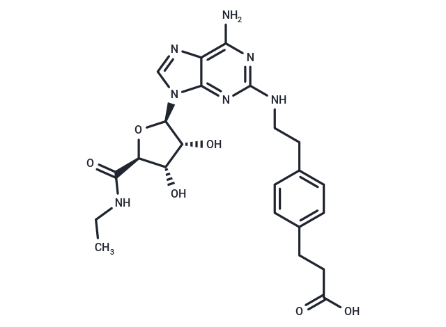 CGS 21680