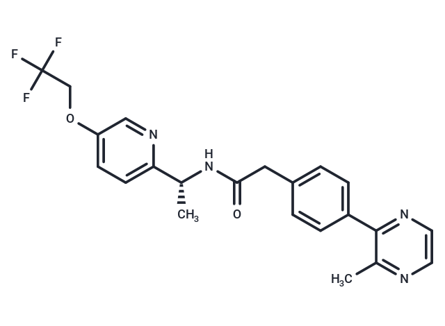 TTA-A8
