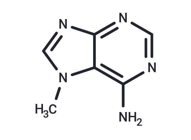 7-Methyladenine